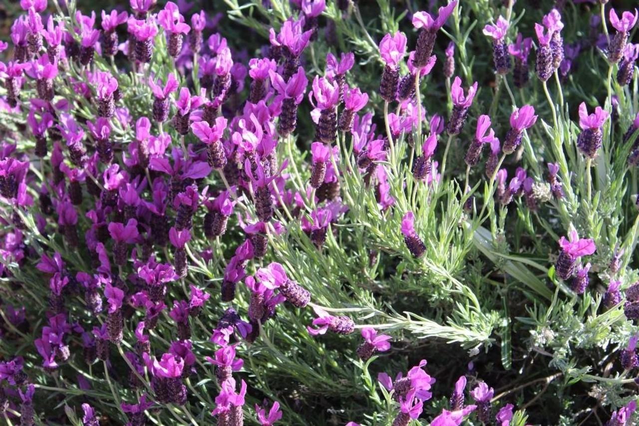 35109 California Highway 79 - Photo 2 of 28