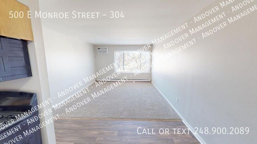 500 East Monroe Street #304 - Photo 5 of 19