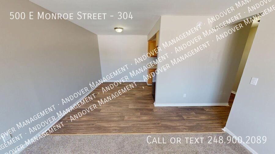 500 East Monroe Street #304 - Photo 6 of 19