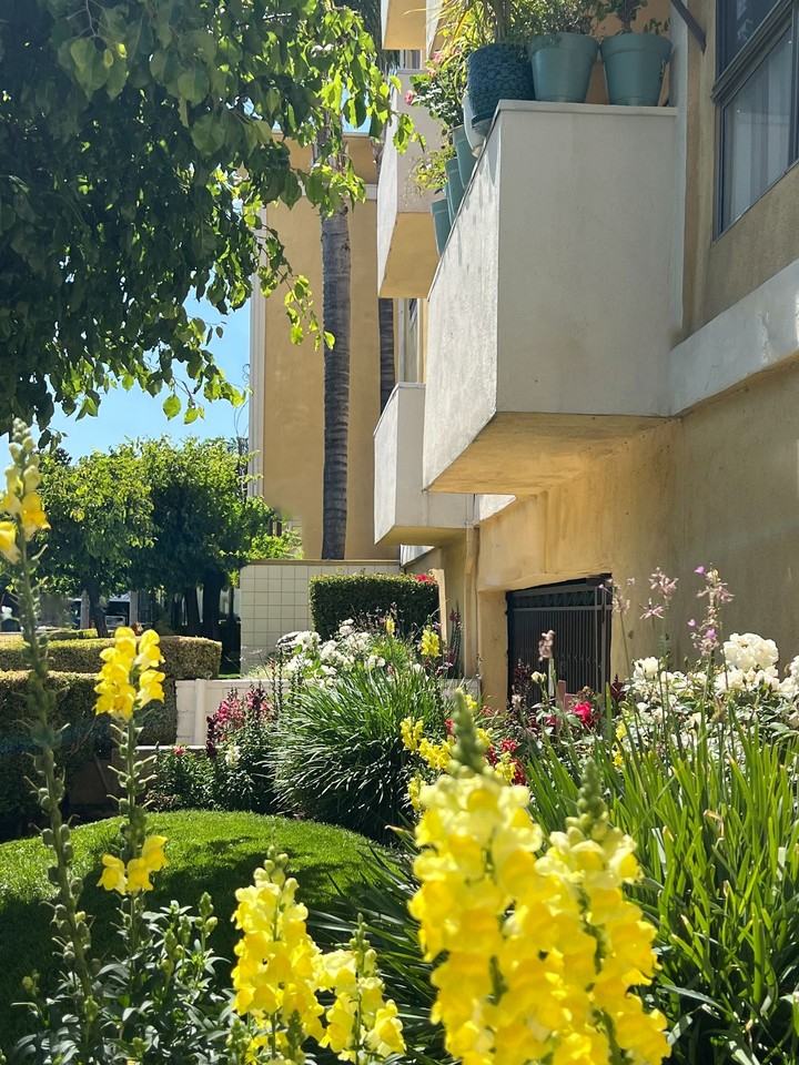 Margate Apartments - Photo 6 of 29