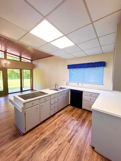 1908 West Sunset Drive - Photo 2 of 21