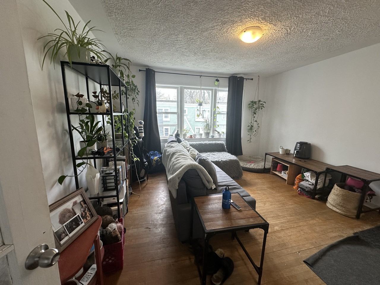 6559 Bayers Road #17 - Photo 7 of 53