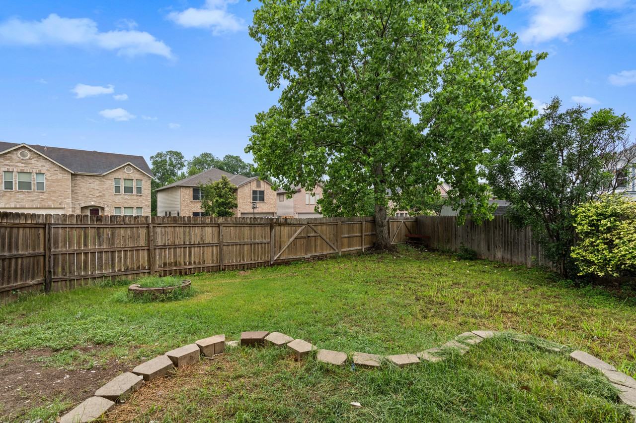 Forest Stream - Photo 6 of 18