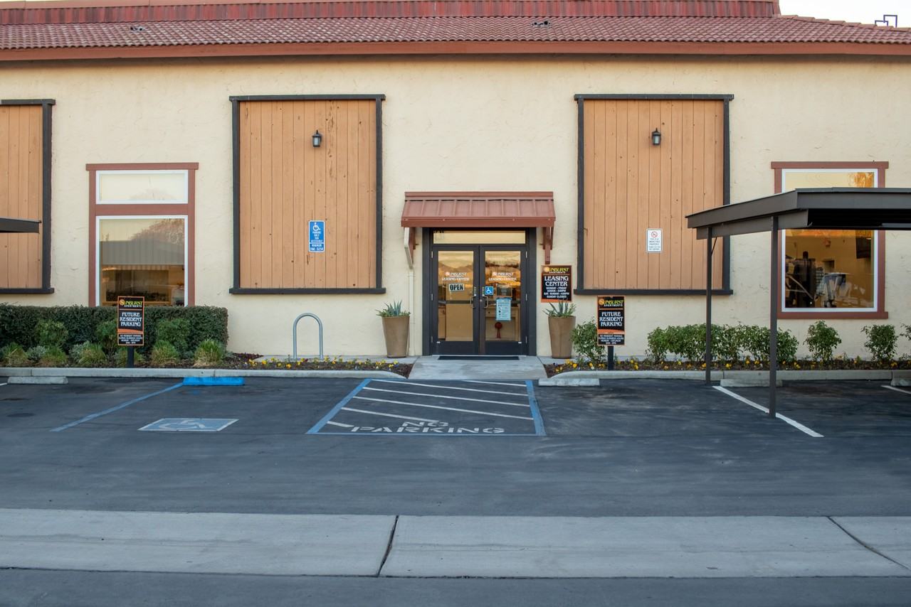 Sunburst - Photo 3 of 31