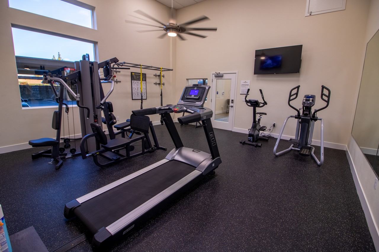 Sunburst - Photo 6 of 31