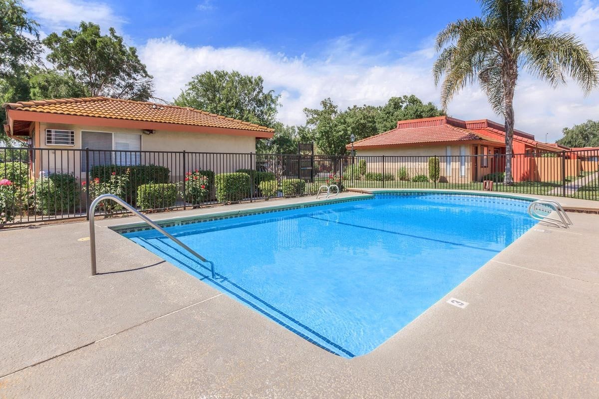 Sunburst - Photo 7 of 31