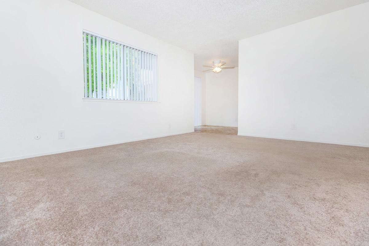 Santa Rosa - Photo 2 of 33