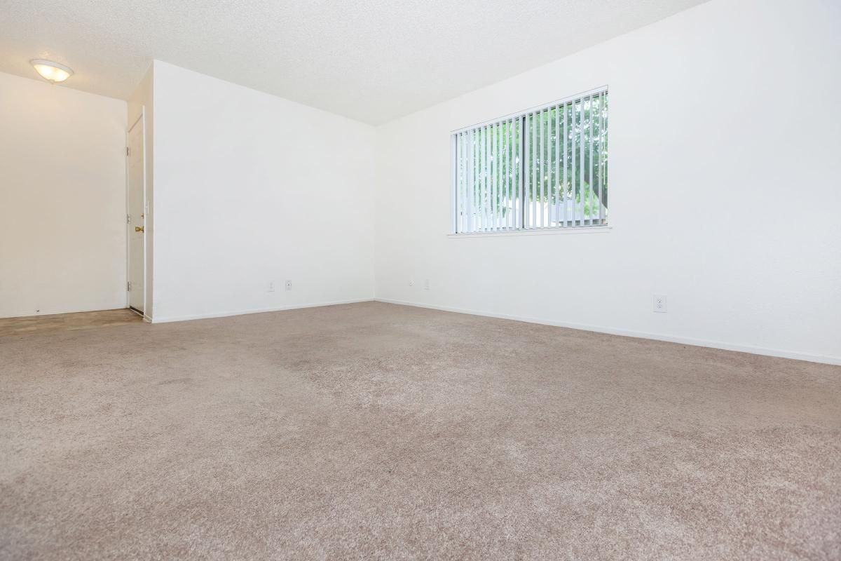 Santa Rosa - Photo 5 of 33