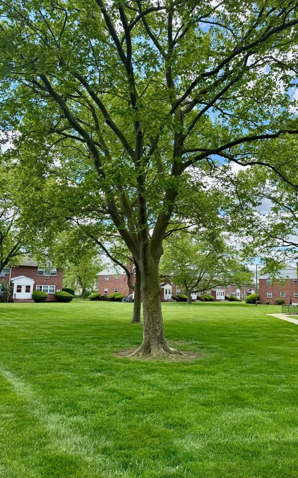 Keyport Harbor Apartment Homes - Photo 6 of 50