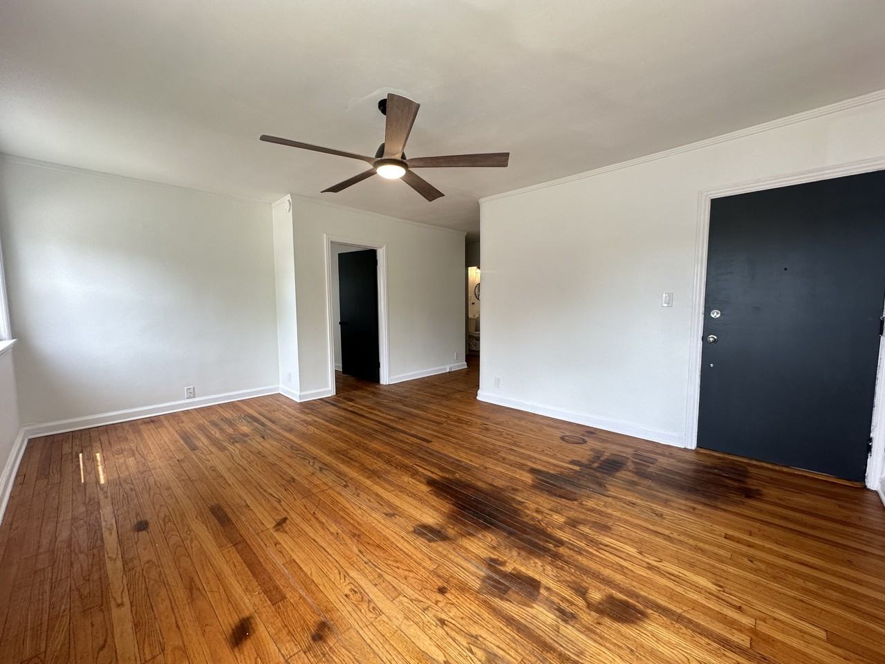 204 Carlton Terrace - Photo 3 of 12