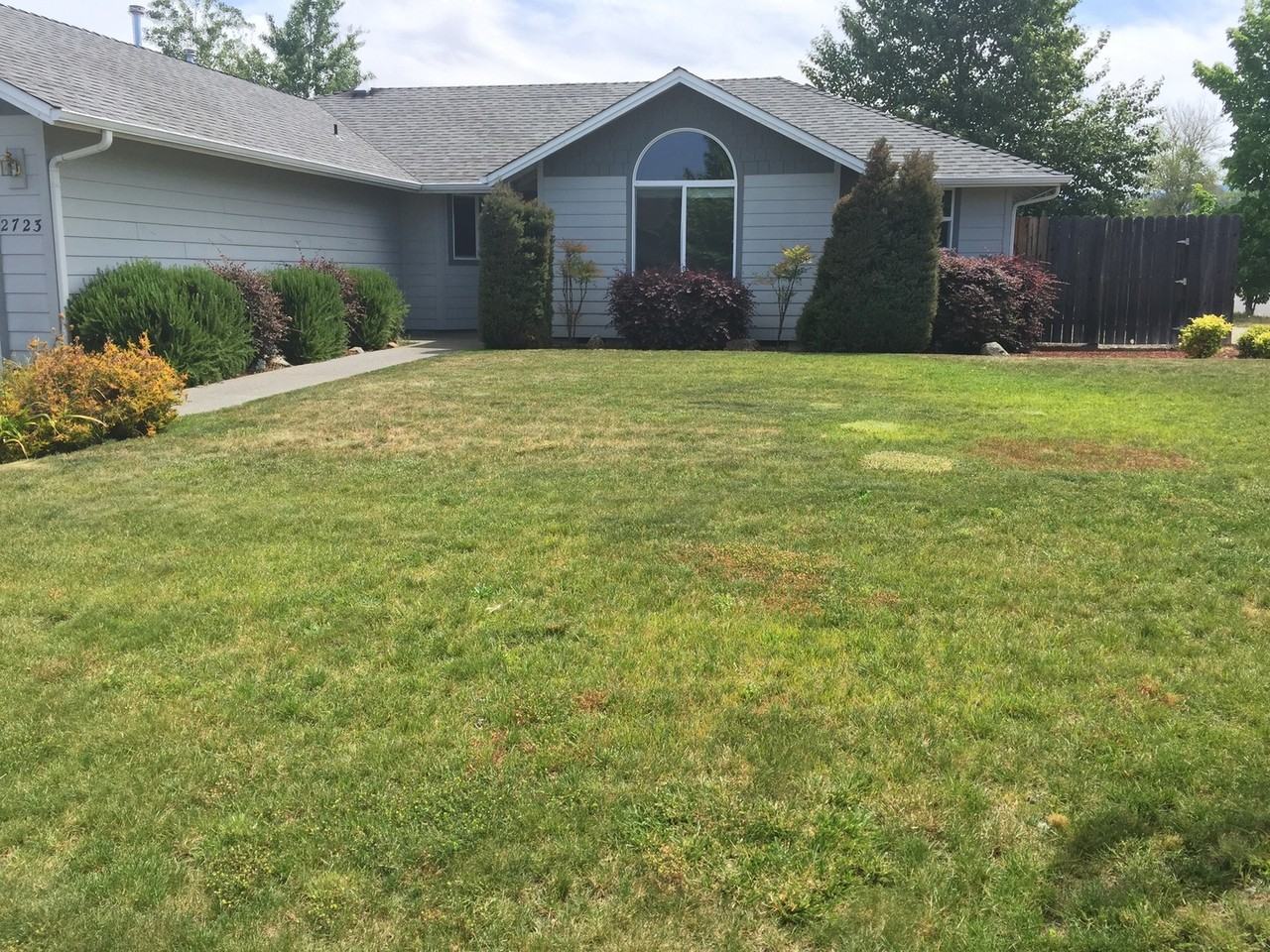 2723 Esther Ln - Photo 2 of 12