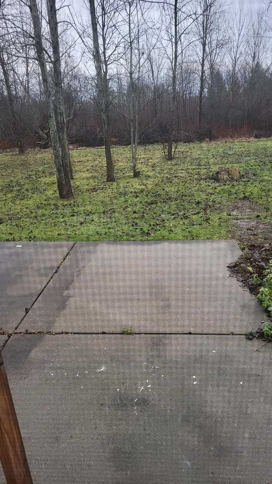 6481 Goodrich Rd #LHS - Photo 4 of 13