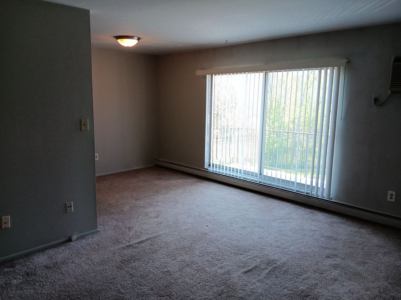 355 Solon Rd #315 - Photo 4 of 19