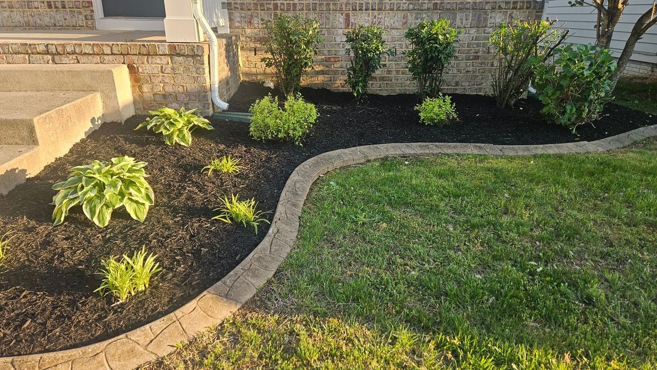 1310 Walker Dr - Photo 3 of 50