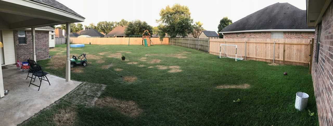 1025 Cressmont St - Photo 4 of 20