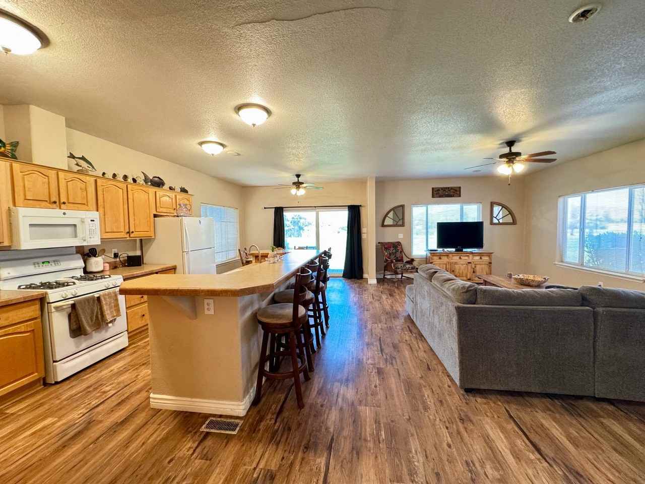 Palo Verde - Photo 3 of 15