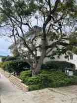 1412 Graham St - Photo 1 of 1