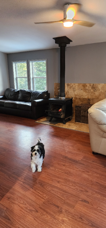 76 Alice Dr - Photo 3 of 20