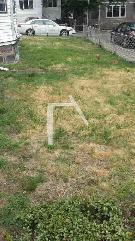 22 Everett Sq #1 - Photo 6 of 6