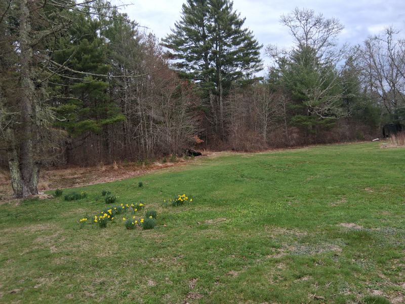 366 Tremont St - Photo 3 of 8