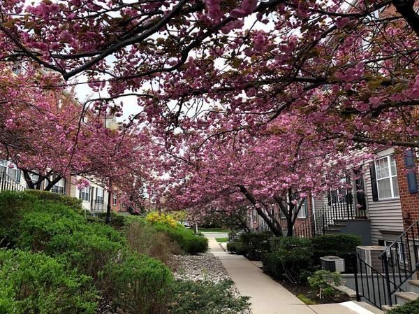 67 Vaughan Drive - Photo 7 of 9