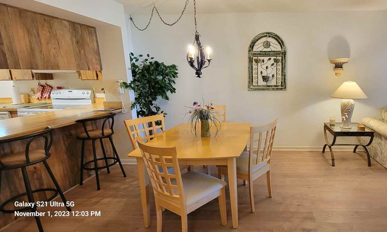 3505 Tarpon Woods Blvd #I407 - Photo 5 of 15