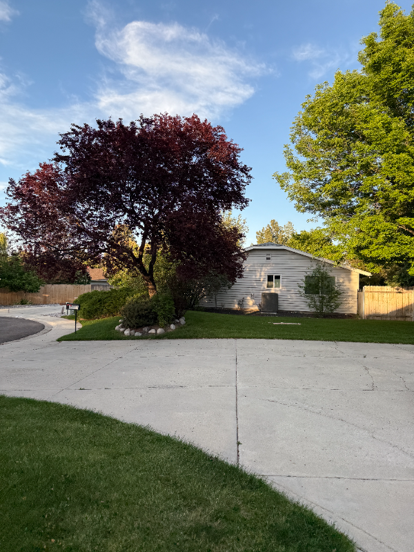 4860 S Kachinas Ave - Photo 5 of 20