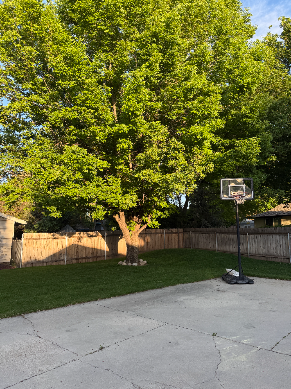 4860 S Kachinas Ave - Photo 6 of 20