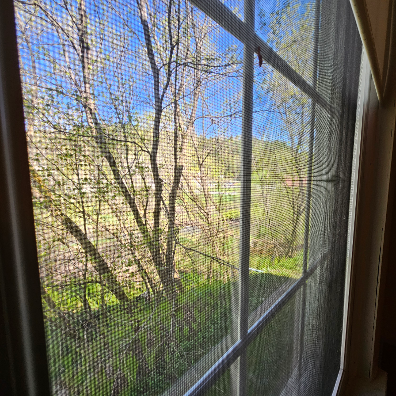 6137 Memorial Dr #7 - Photo 3 of 10