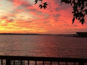 10725 Joann St - Photo 1 of 1