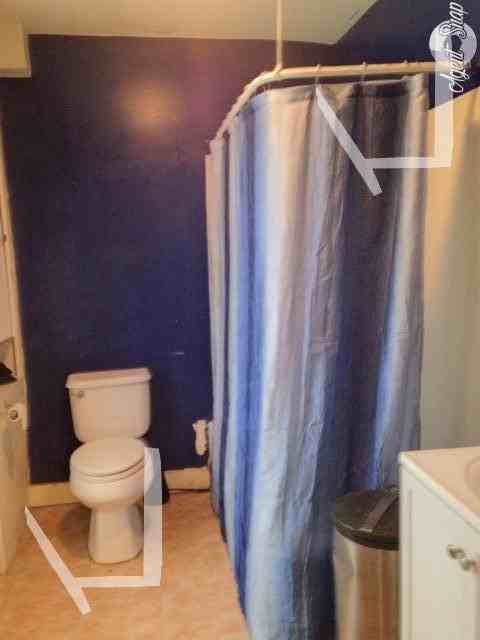 155 Kilsyth Rd #2 - Photo 5 of 17