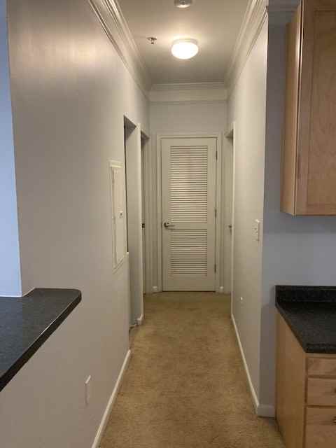 1755 Central Park Road #7219 - Photo 2 of 13