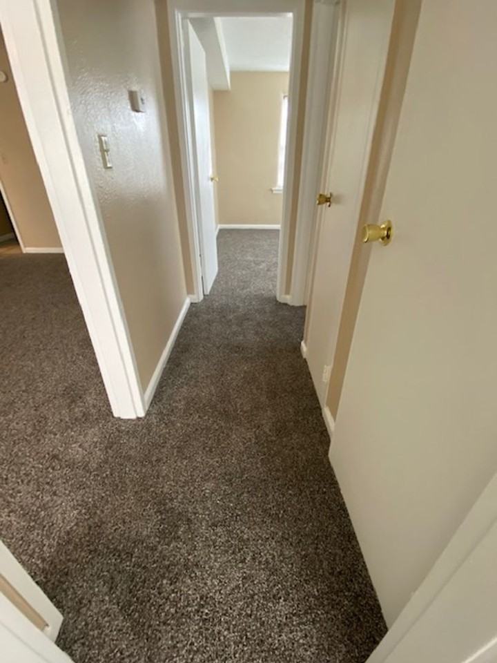 Webster, JC - Photo 3 of 31