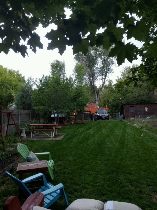 317 S Shields St #317-1-2 - Photo 2 of 12