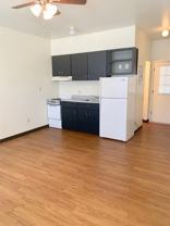 The Elms - Photo 1 of 1