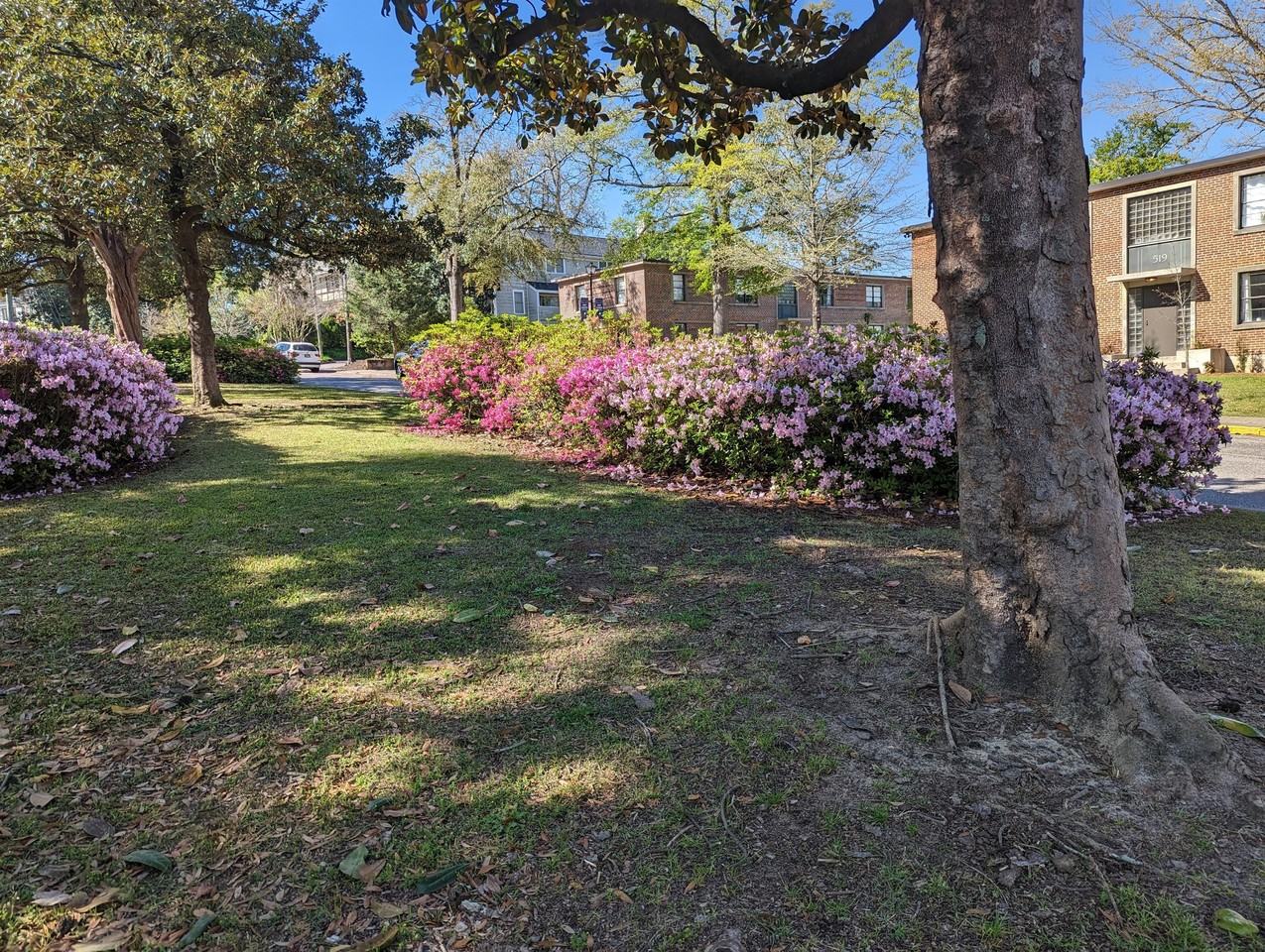 Saluda Landing - Photo 2 of 50