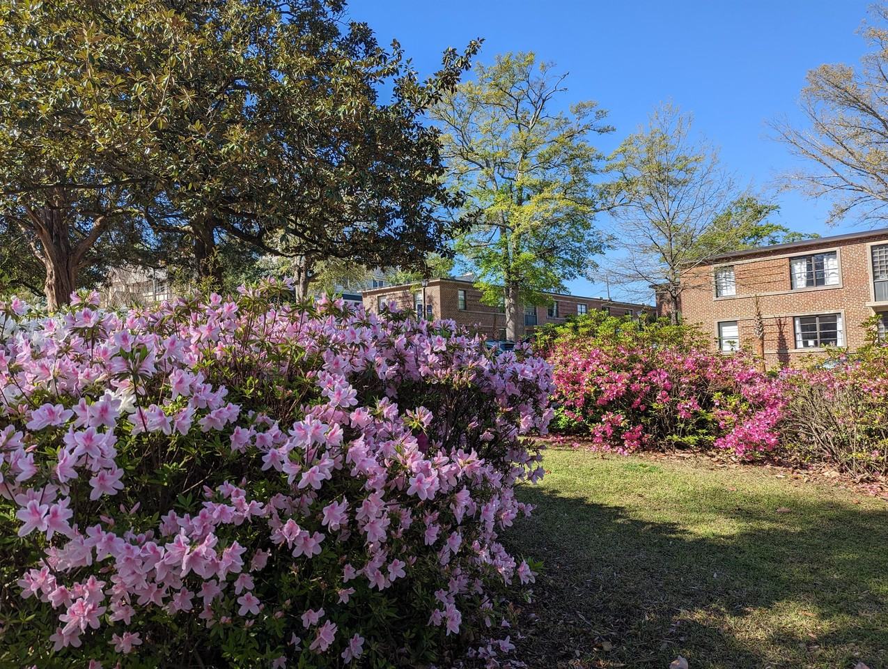 Saluda Landing - Photo 3 of 50