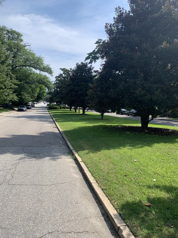 Saluda Landing - Photo 6 of 50