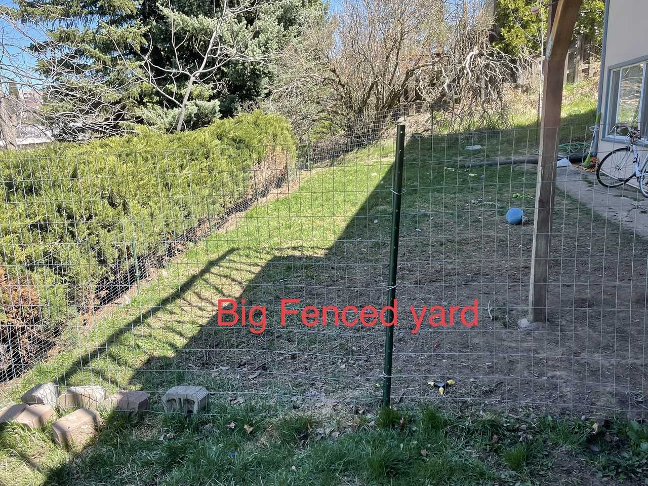 1300 Ne Williams St #2 - Photo 6 of 14