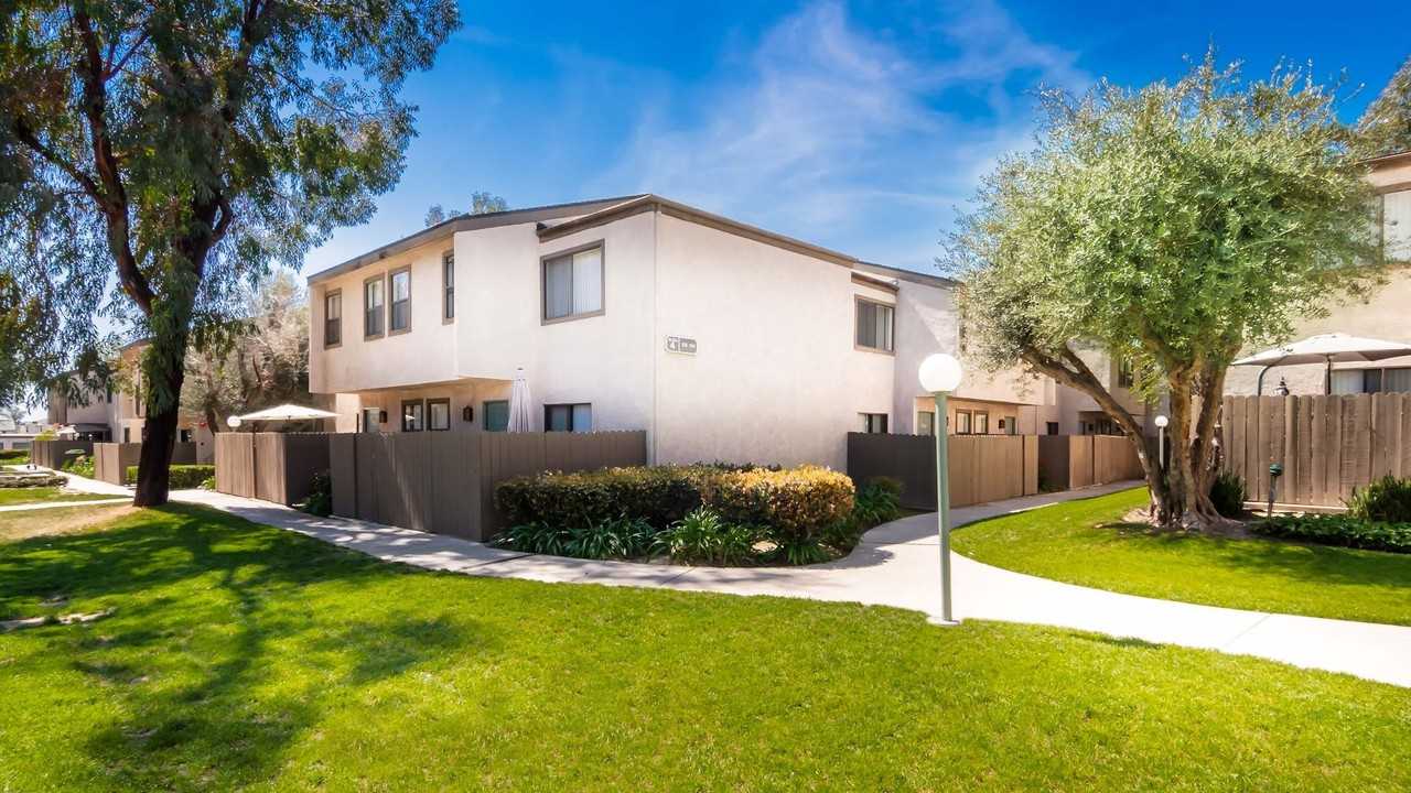 Spring Tree - Photo 2 of 49