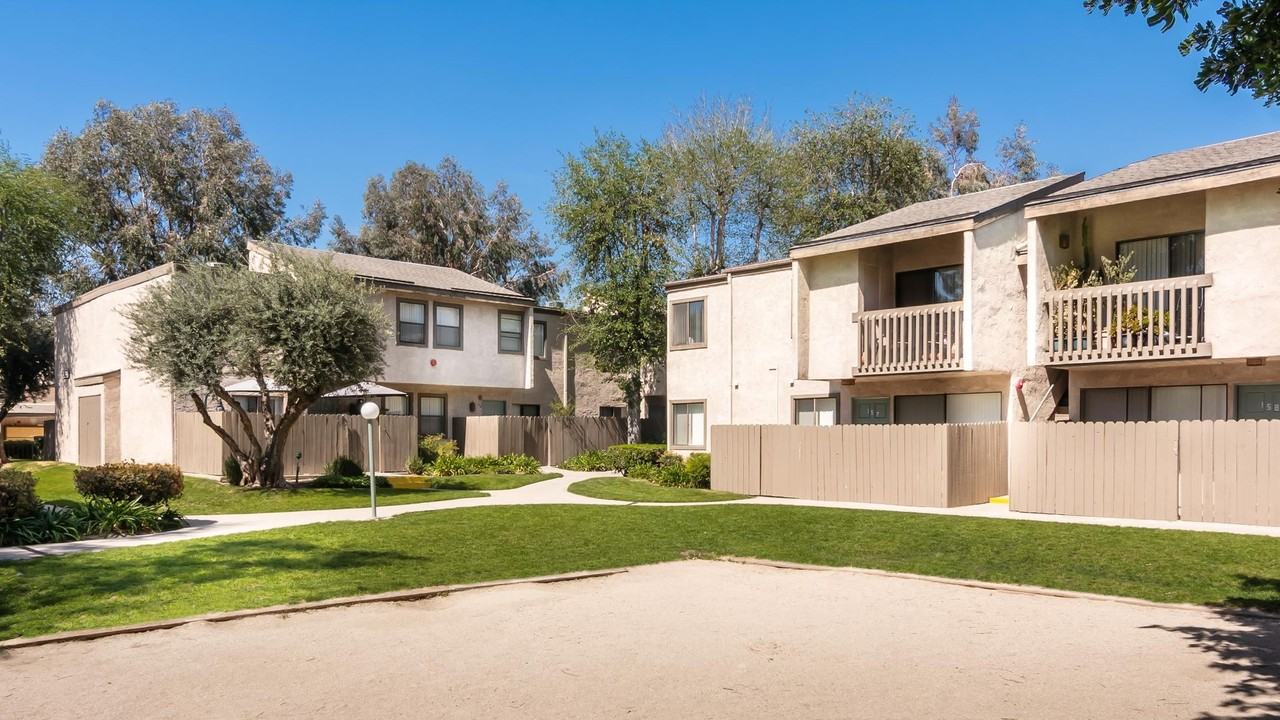 Spring Tree - Photo 3 of 49