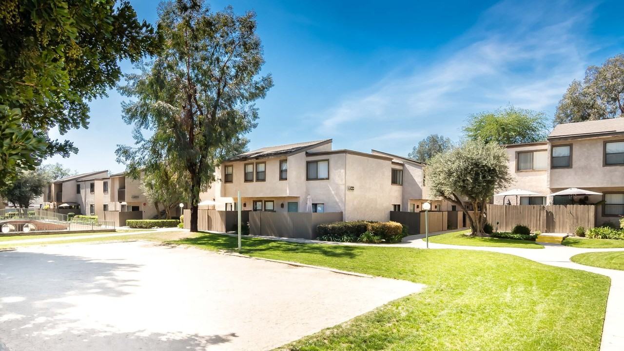 Spring Tree - Photo 4 of 49