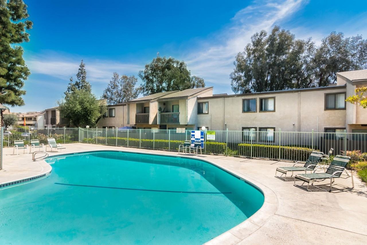 Spring Tree - Photo 6 of 49