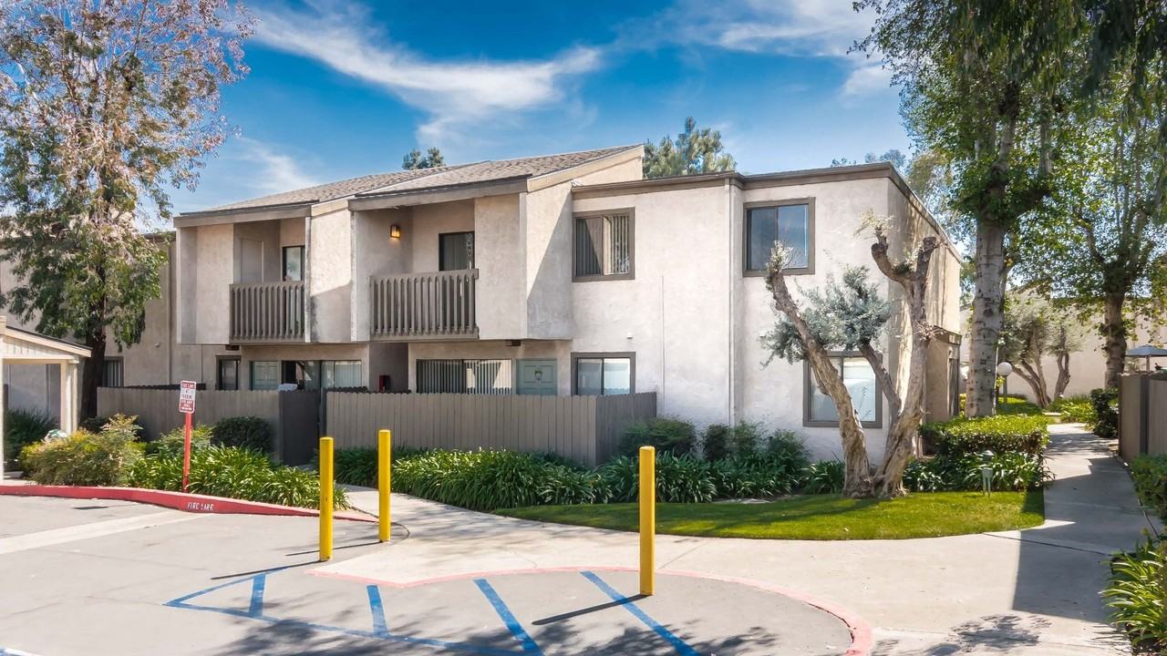 Spring Tree - Photo 7 of 49