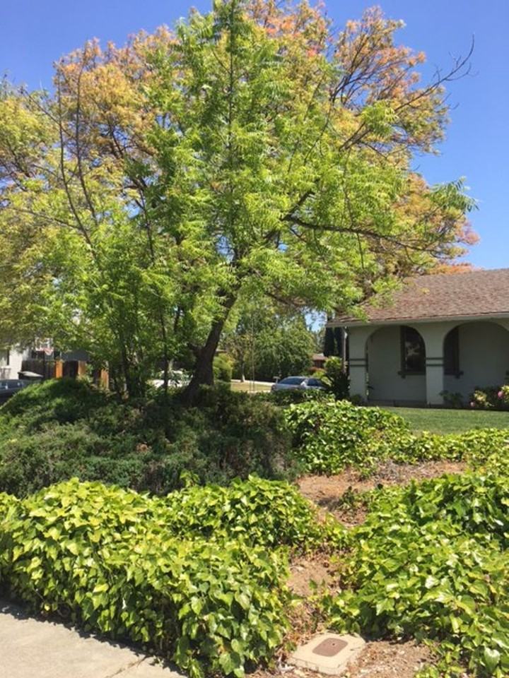 1230 Van Dyck Dr - Photo 2 of 16