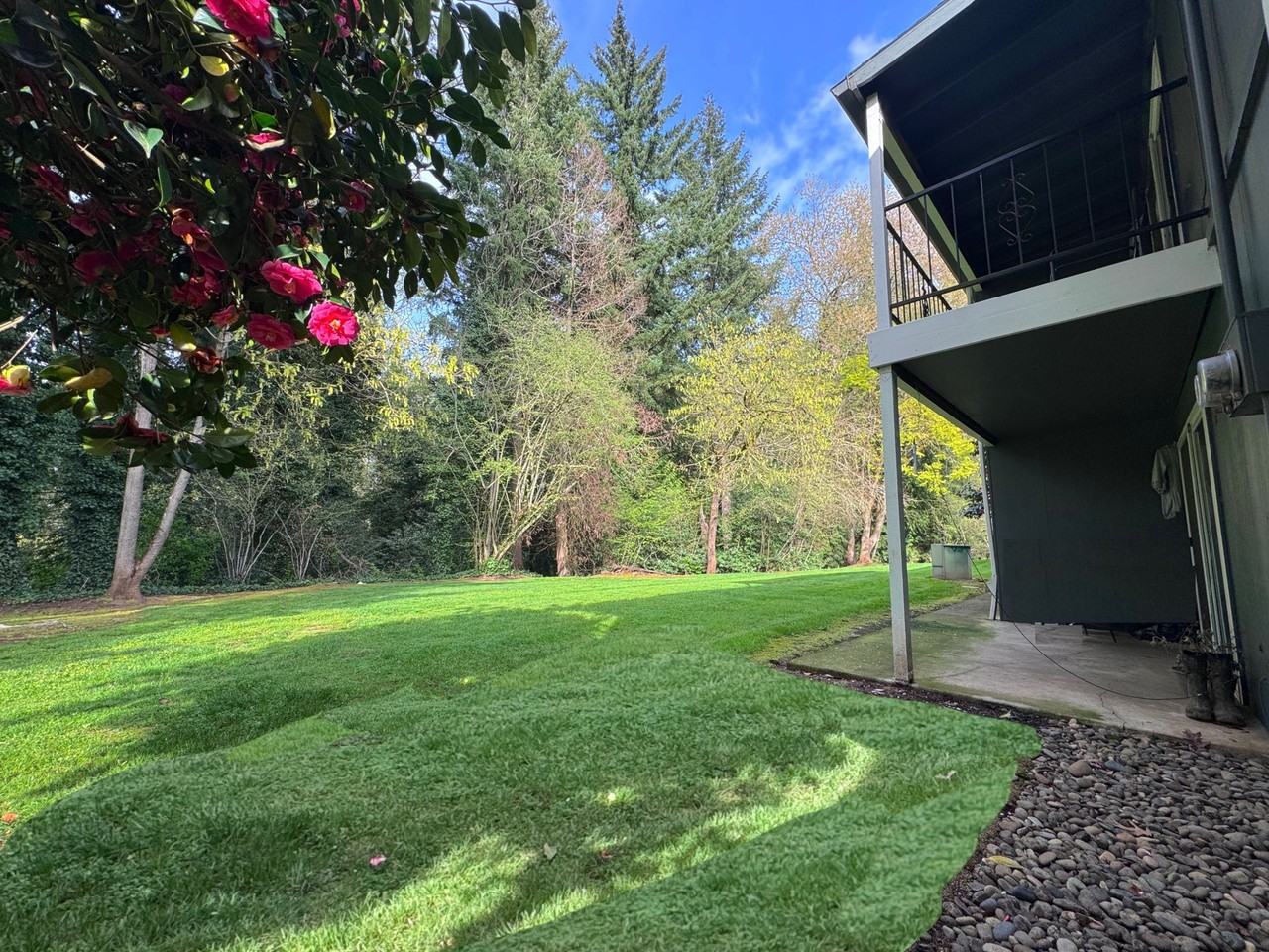 Cedar Lane - Photo 7 of 40