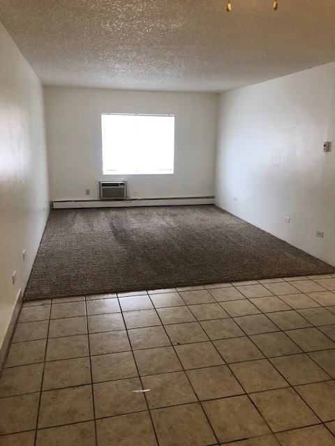 747 West 96th Avenue - Photo 2 of 12