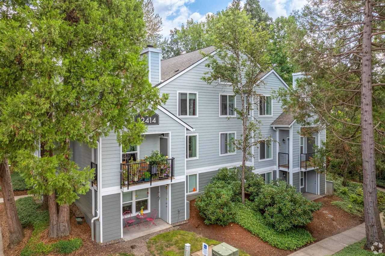 Hampton Park Apartments - Photo 4 of 34