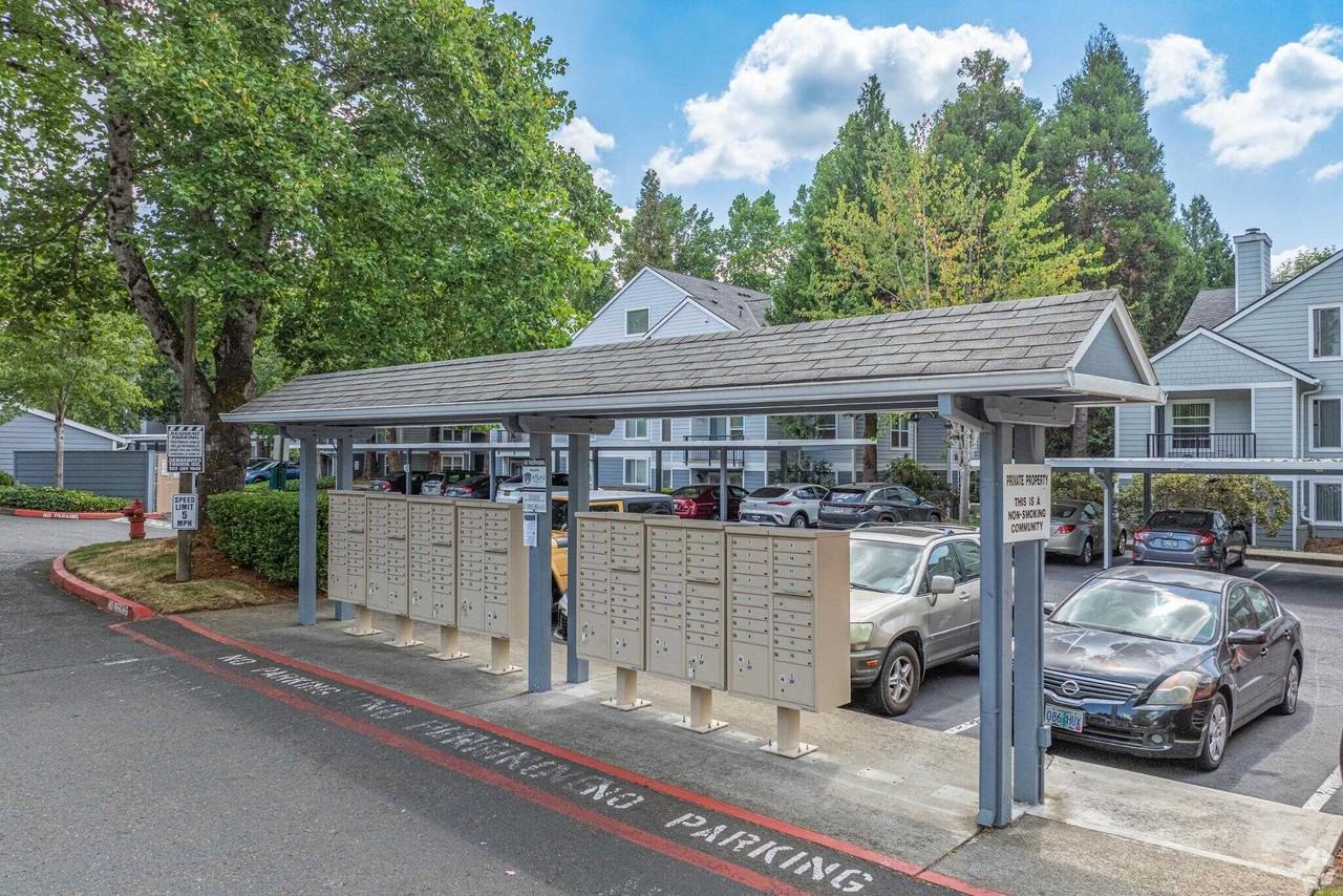 Hampton Park Apartments - Photo 6 of 34