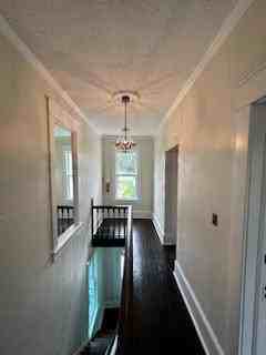 1028 Pennsylvania Avenue - Photo 5 of 17